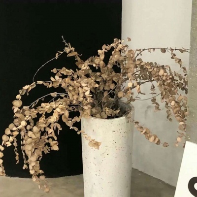 泽州福瑞交流群